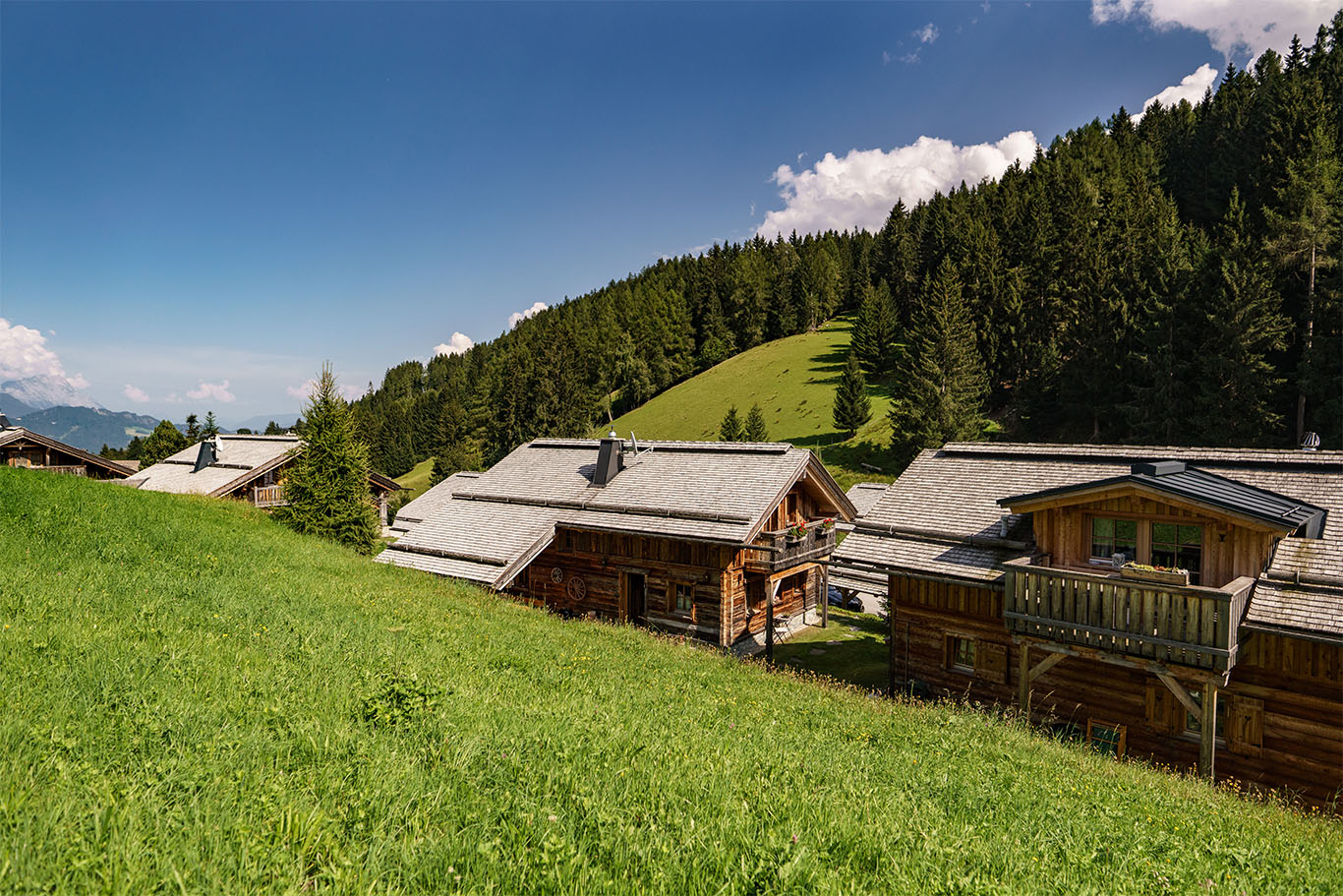 Charlet am Oberhausberg, Dachstein, Schaldming, Ferienhütte, Urlaub, Skiurlaub, Wander, Steiermark, Sauna, Alpen, Österreich, Unterkunft